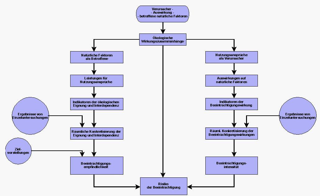 Grafik zum Vorgehen der Ökologischen Risikoanalyse