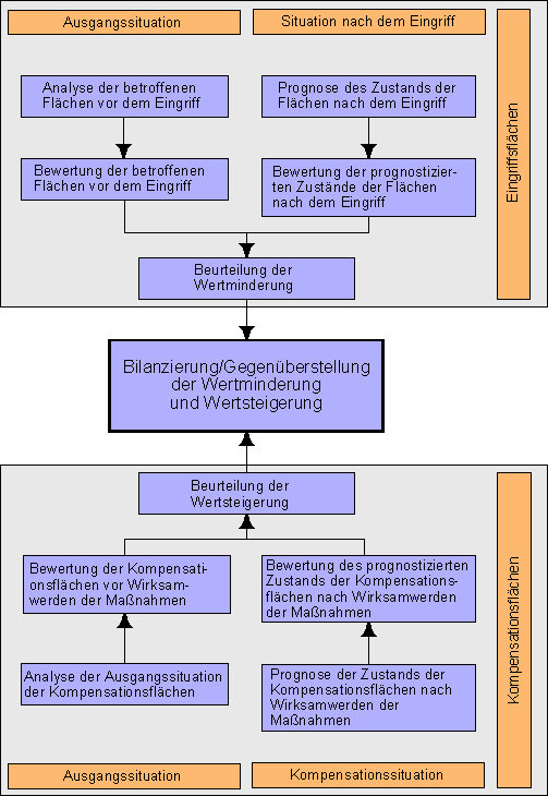 Graifk des Grundmodells der Bilanzierung im Rahmen der naturschutzfachlichen Eingriffsregelung D